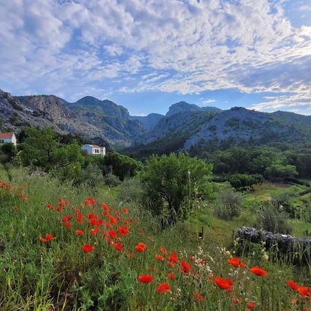 Apartments Paklenica Starigrad Paklenica Eksteriør bilde