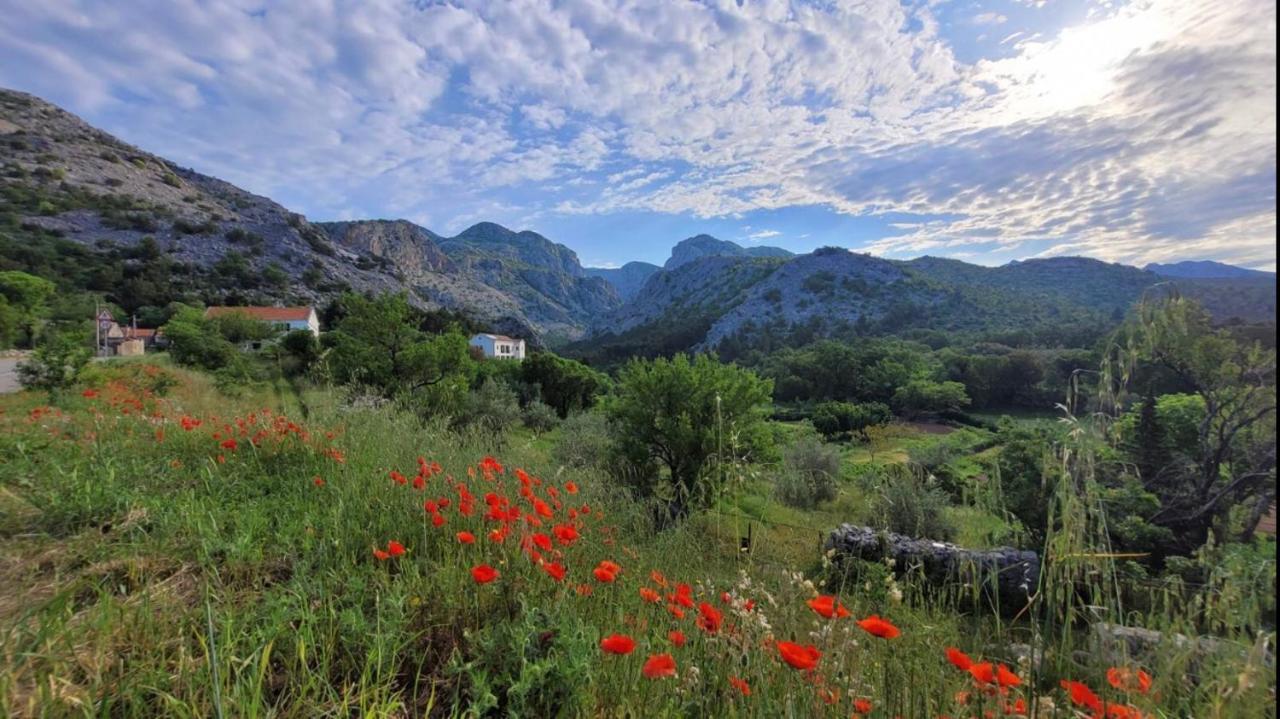 Apartments Paklenica Starigrad Paklenica Eksteriør bilde